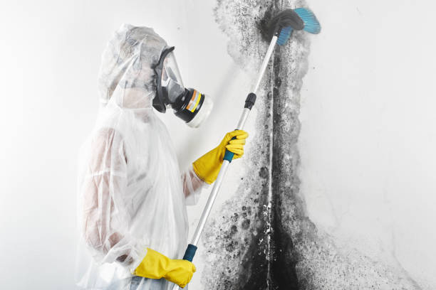 Best Real Estate Mold Inspection  in Roaming Shores, OH