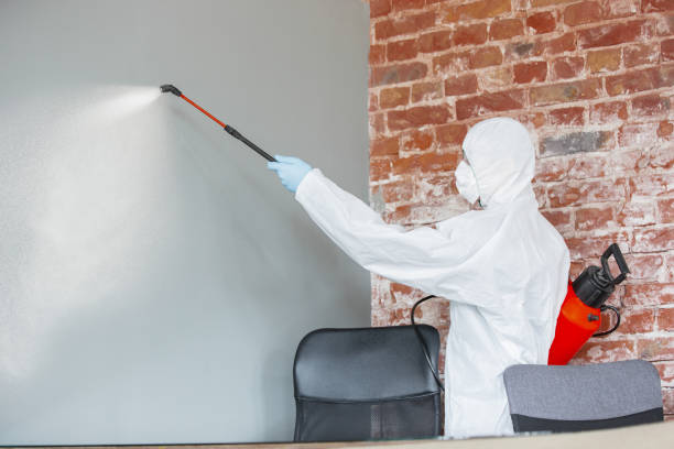 Roaming Shores, OH Mold Removal Company