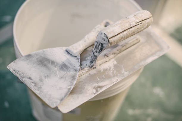 Best Emergency Mold Remediation  in Roaming Shores, OH